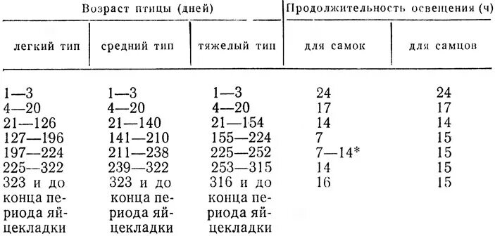 Температурный режим для индюшат таблица. Таблица света для цыплят бройлеров. Температурный режим для цыплят индюшат бройлеров. Таблица освещения для цыплят бройлеров.