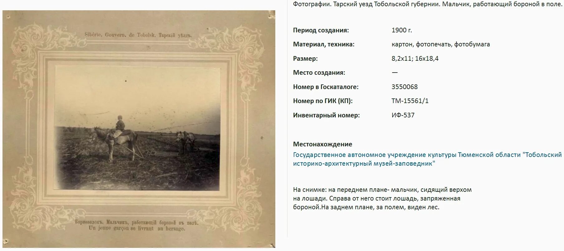 Уезды тобольской губернии. Тарский уезд тобольской губернии. волости тарского уезда тобольской губернии. тюкалинский уезд тобольской губернии. карта тарского уезда тобольской губернии 1784 года.