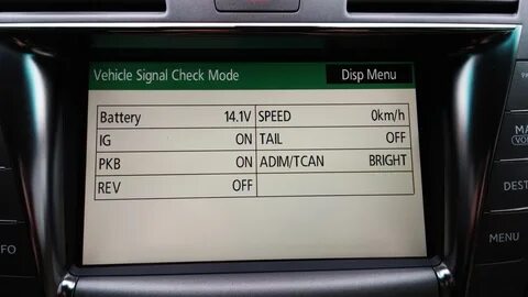 Vehicle signal