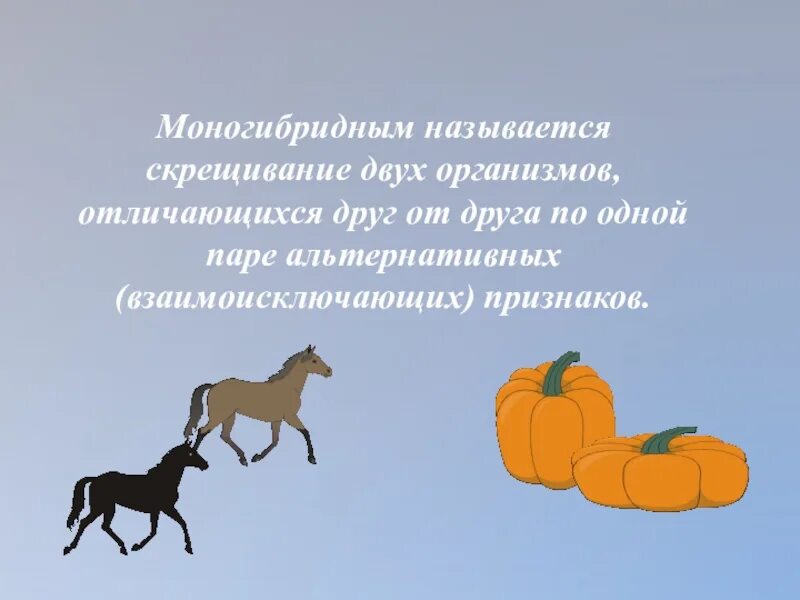 Моногибридным называется скрещивание двух. Моногибридным называется скрещивание. скрещивание организмов отличающихся по одной паре. какое скрещивание называют моногибридным. скрещивание особей различающихся по одной паре признаков называется.