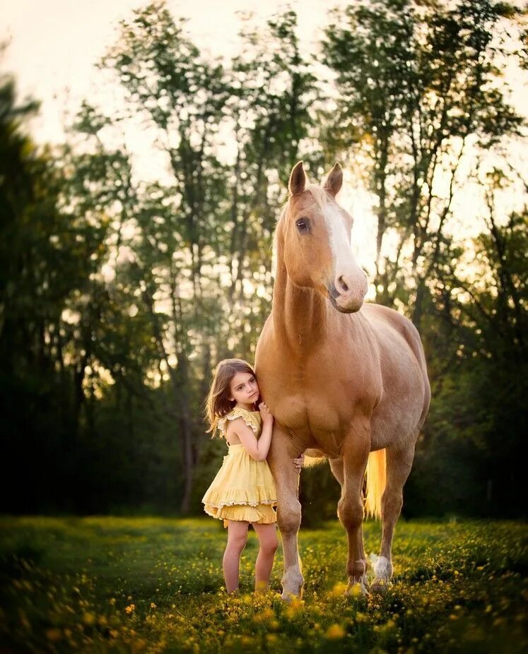 Horse kids. Лошадка для детей. Фотосессия с лошадьми дети. Детская фотосессия с лошадкой. Девочка на лошади.