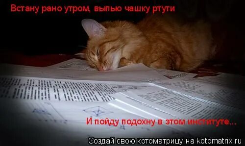 Рано утром встану косячок достану. Вставать рано утром. выпью чашку ртути и пойду подохну в этом институте. встану рано утром выпью чашку ртути и пойду. встану утром рано выпью.