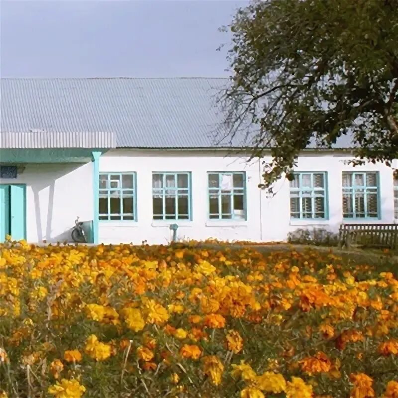 Ржакса школа. Аглобинская школа. Ржакса тамбовская область школа номер 1. Ржакса школа. Ржакса школа номер 2.