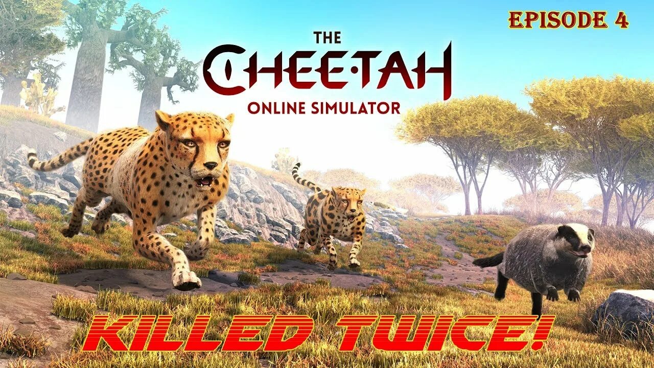 Cheaters cheetah читы. The cheetah игра. cheetah mobile игры. гепарды играют. аккаунт на игру the cheetah.