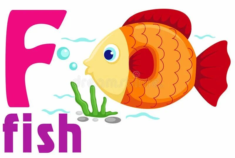 Карточки рыбы для детей. Рыба по английскому транскрипция. Рыба по английскому транскрипция. Рыбы картинки для детей с названиями. Английские слова.