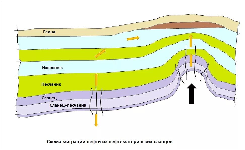 Формирование нефти и газа. Органическая теория образования нефти. Схема органического происхождения нефти. Неорганическое происхождение нефти. Схема образования нефти.