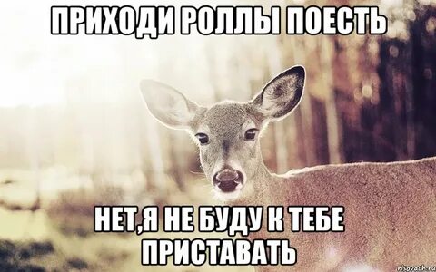 Картинки просто хочу