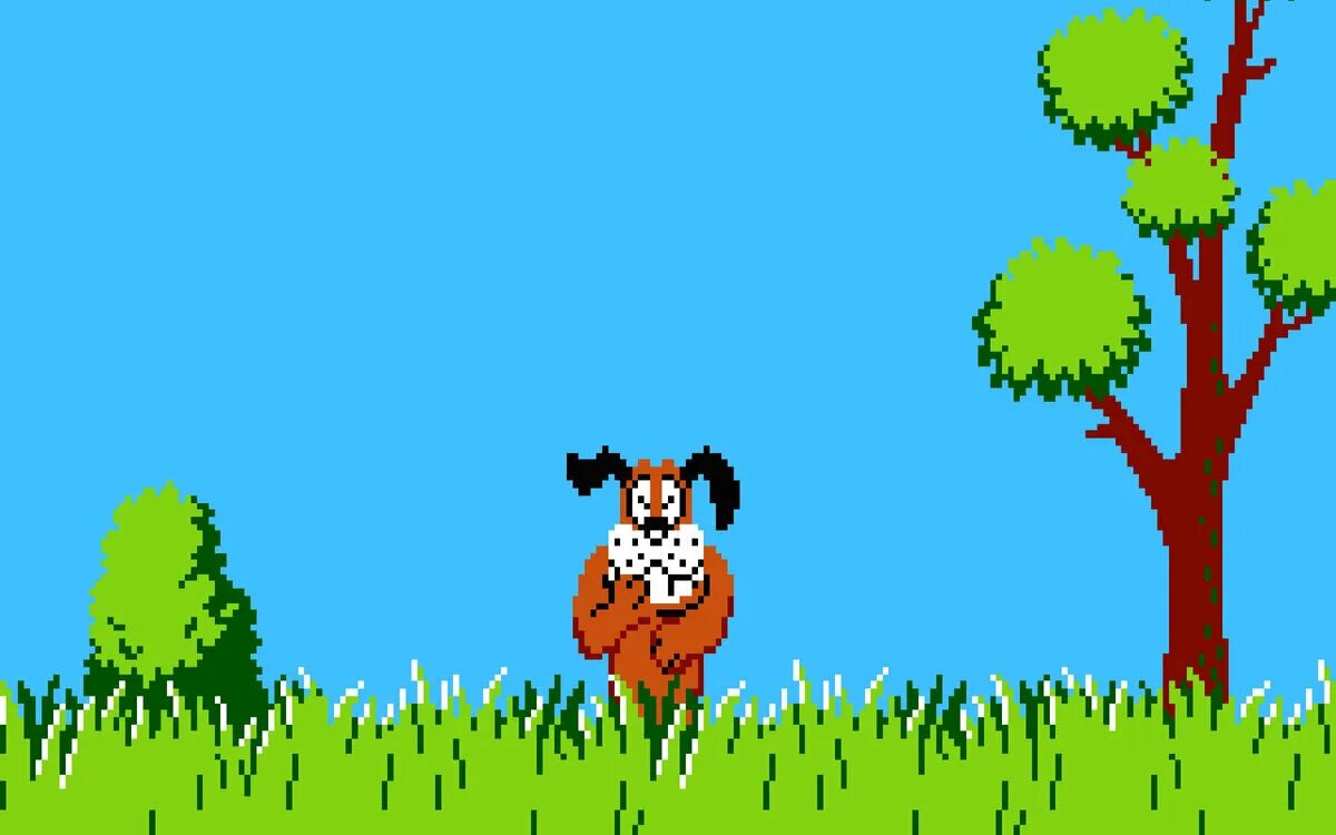 Duck Hunt игра. Duck Hunt Dendy. Собака из игры Duck Hunt. Duck Hunt Dendy собака. Игра охота денди