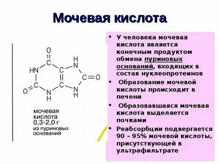 Показатели уровня мочевой кислоты