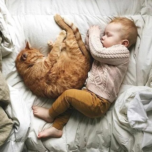 Малыш и его коты. Кот для детей. дети и коты. младенец и котенок. рыжий кот для детей.