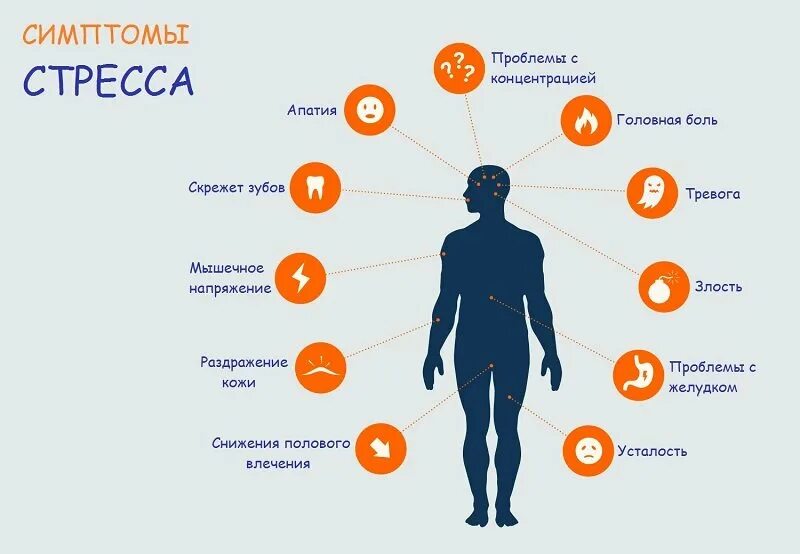 Болезненные состояния организма. Симптомы стресса. Признаки стресса. Стресса на организм человека. Стресс организма симптомы.