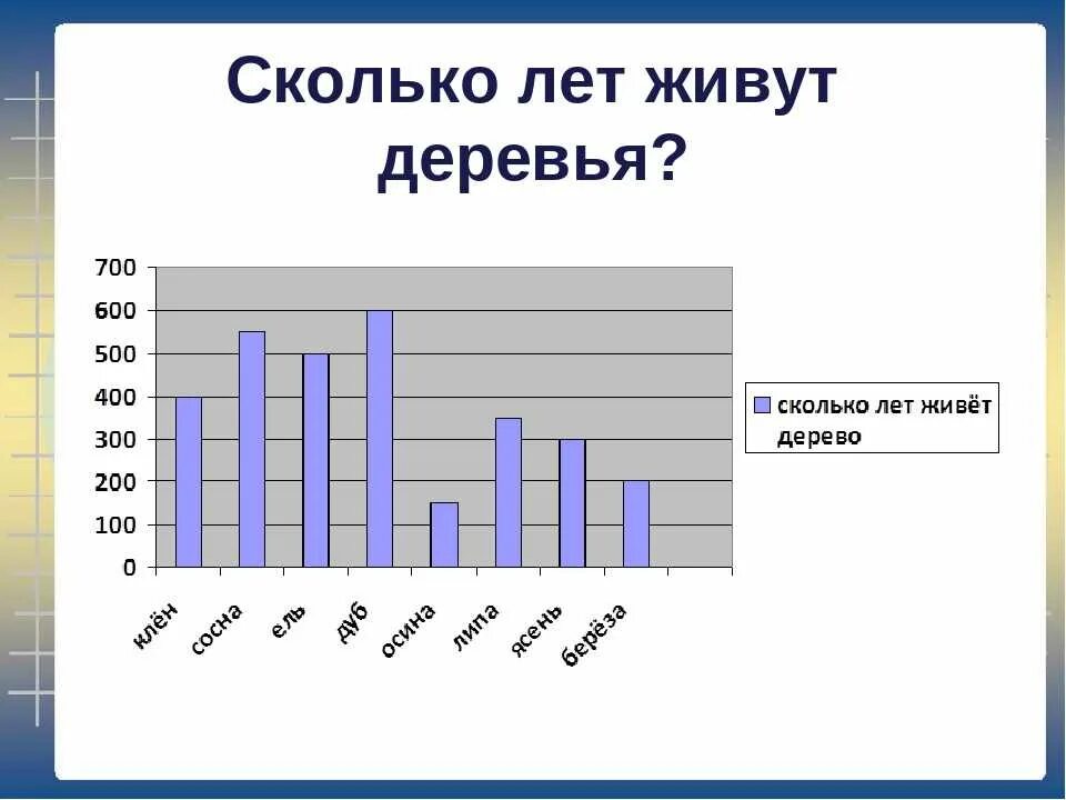 Продолжительность жизни деревьев. Сколько лет живут деревья. Сколько лет живут деревья таблица. Продолжительность жизни деревьев таблица.