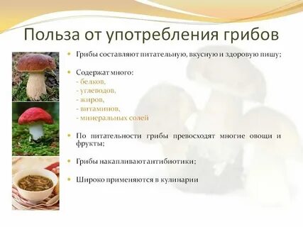 Грибы это какой продукт