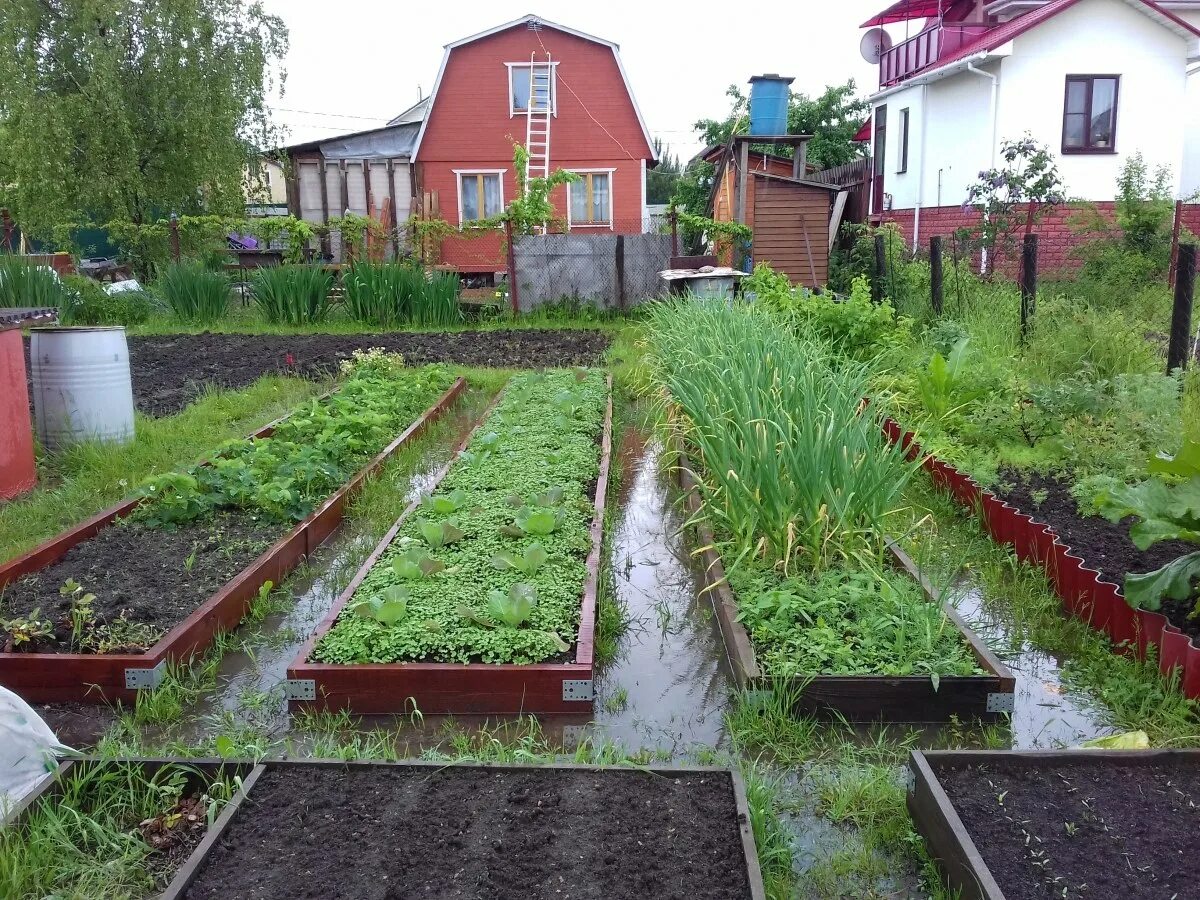 Сад и огород. Приусадебный участок с огородом. Реальные фото огорода. Реальные фото огорода. Грядки на даче.