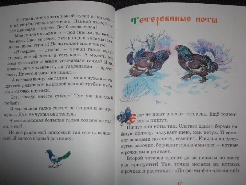 Круглый год сладков. Сладков русские сказки о природе. Бук трелер по книге Сладкова сказки о русской природе.