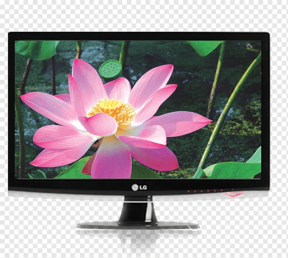 Телевизор lg 80