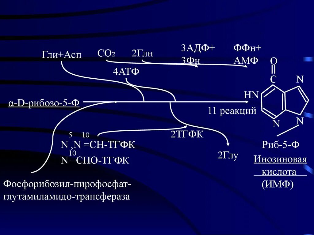 Гли цис. Со2 ГЛН 2 АТФ 2. Глу АСП гли. Гли АСП вал.