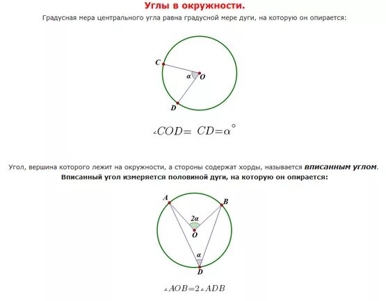 Окружность высекает на сторонах угла равные. Равные углы в окружности. Угол в центре окружности. Окружность в окружности. Градусная мера окружности равна.