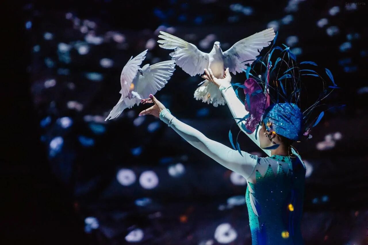Цирковые голуби. Дрессированные голуби. Цирковые работники с голубями. Голуби в цирке. Цирковые голуби.