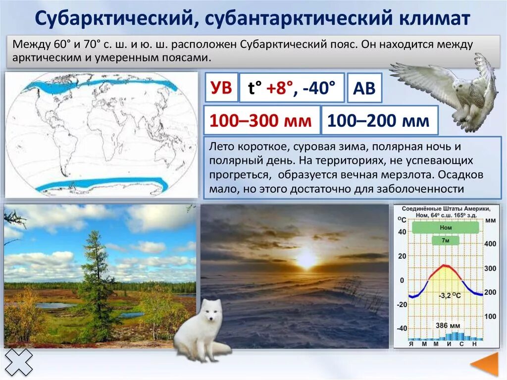 Арктический и субарктический климат России. Субарктический и Субантарктический климатический пояс таблица. Испаряемость субарктического пояса. Арктический пояс субарктический пояс. Температура в умеренных ветрах