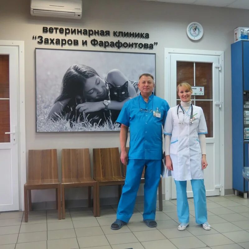 Ветеринарная калининград. Захаров и фарафонтова калининград. ветеринарная служба захаров и фарафонтова. ветклиники захаров и фарафонтова калининград. калининградские врачи.