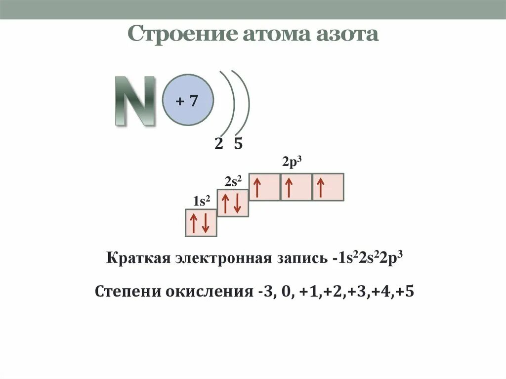 Графическое строение атома. Строение электронной оболочки атома азота. Схема электронного строения азота. Электронное строение внешнего уровня азота. Строение электронной оболочки азота.