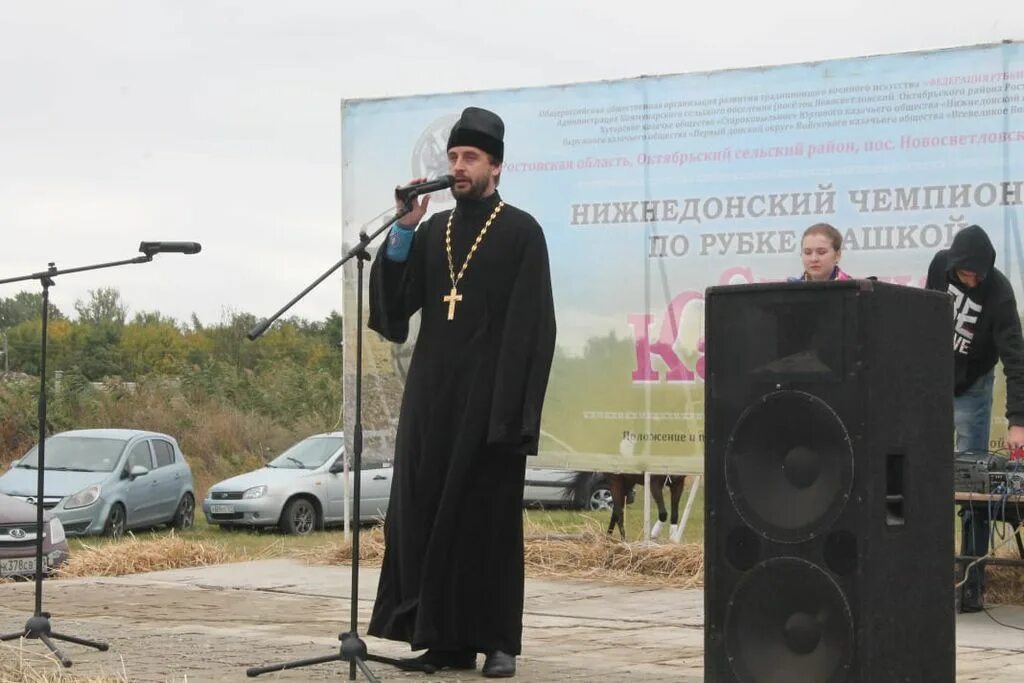 Погода в нижнедонском