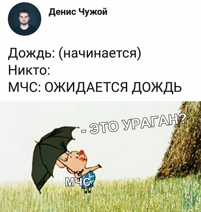 Кажется дождь начинается. Пятачок кажется дождь начинается. кажется дождь собирается. кажется дождь начинается мем.
