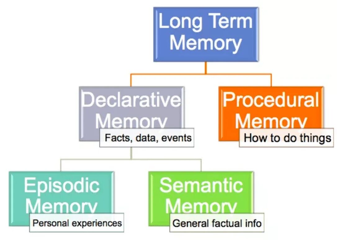Declarative Memory. Long term Memory. Episodic and semantic Memory. Long term Memory картинки.