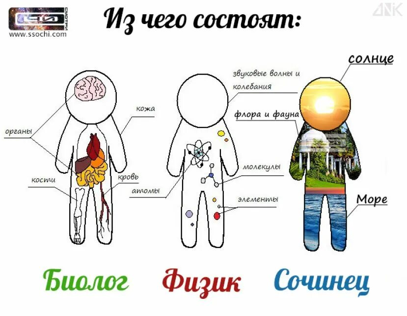 Он отличается большой и состоит из. Из чего состоит сайт. Что из чего. Из чего состоит человек. Из чего состоит мир.