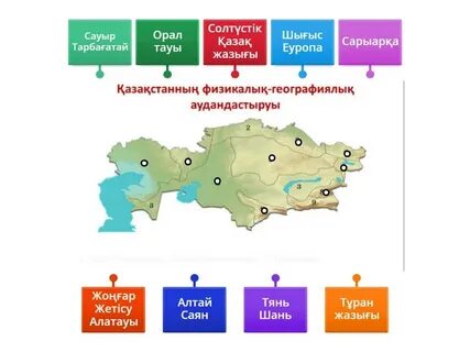 Колготки киген көршілер