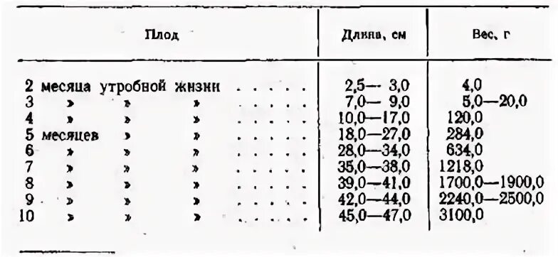 Размеры внутренних органов у детей