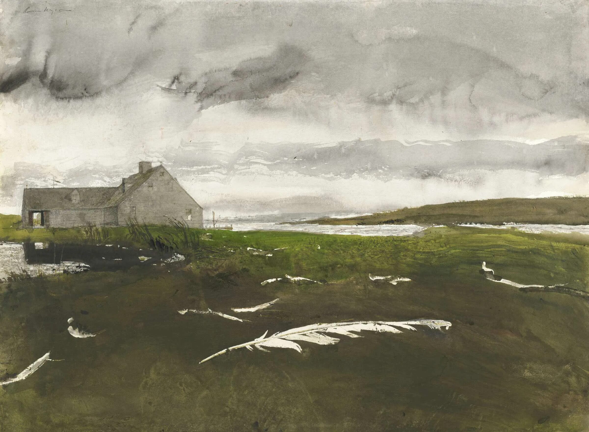Картины эндрю. Andrew Wyeth. Американский художник Эндрю Уайт. Эндрю Уайет море живопись.