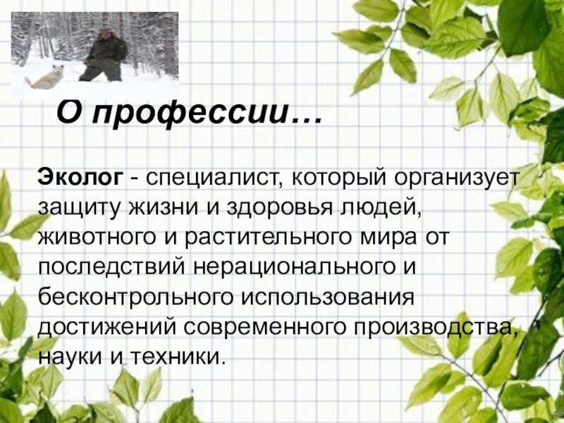 Что выполняет эколог. Профессия эколог. Профессия эколог презентация. Экологические профессии для детей. Проект профессия эколог.