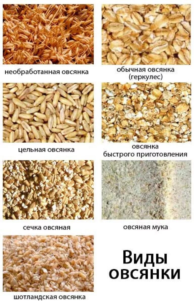 Можно ли есть овсяное. Геркулес каша и овсянка отличия. Геркулес сорт овсяной крупы. Геркулес крупа и овсянка одно и тоже?. Овсяные хлопья или Геркулес разница.