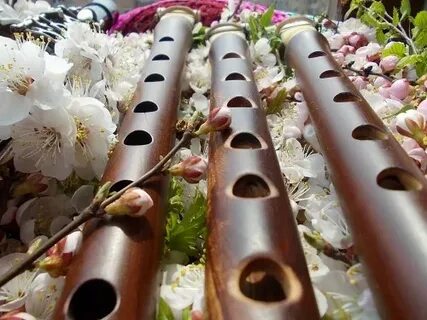 Музыка красивая душа дудук флейта саксофон