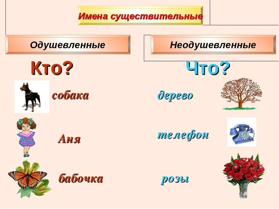 Конспект по теме существительное. Имя существительное. Имя существительное в русском языке. Одушевленные и неодушевленные существительные. Имена существительные кто что.