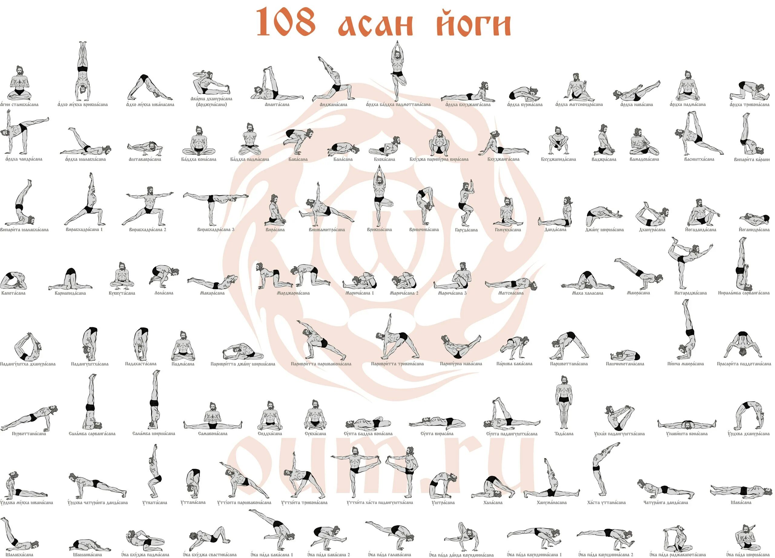 Хатха-йога асаны в картинках. Что такое сутры в йоге. 11 Асан, описанных в сутрах Патанджали. Асаны йоги с названиями