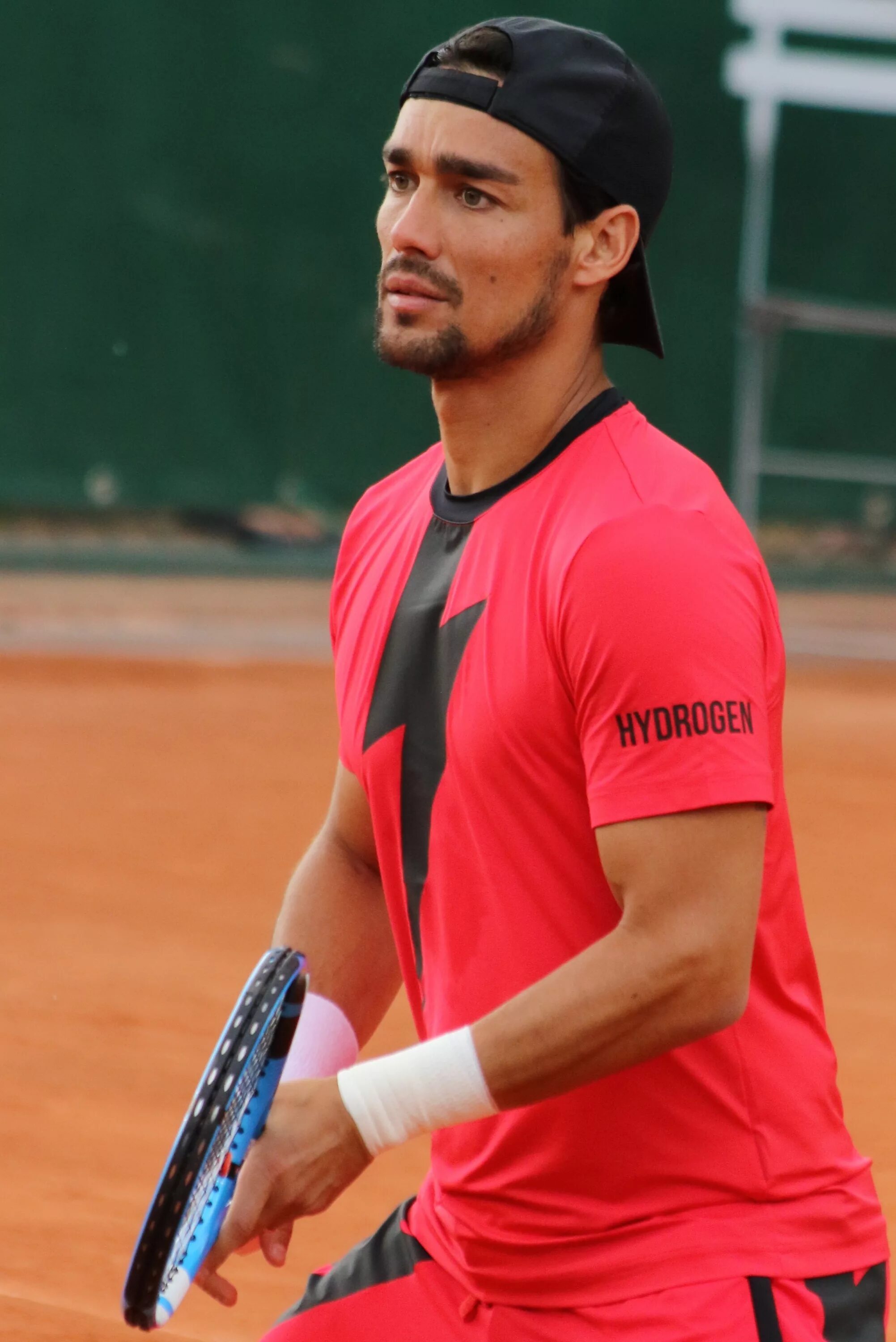 Fognini теннисист. Fabio Fognini. Фоньини теннис. Теннис мужчины. Фабио фоньини