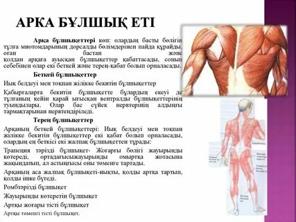 Ареоласы бар емізіктердің порно видеосы