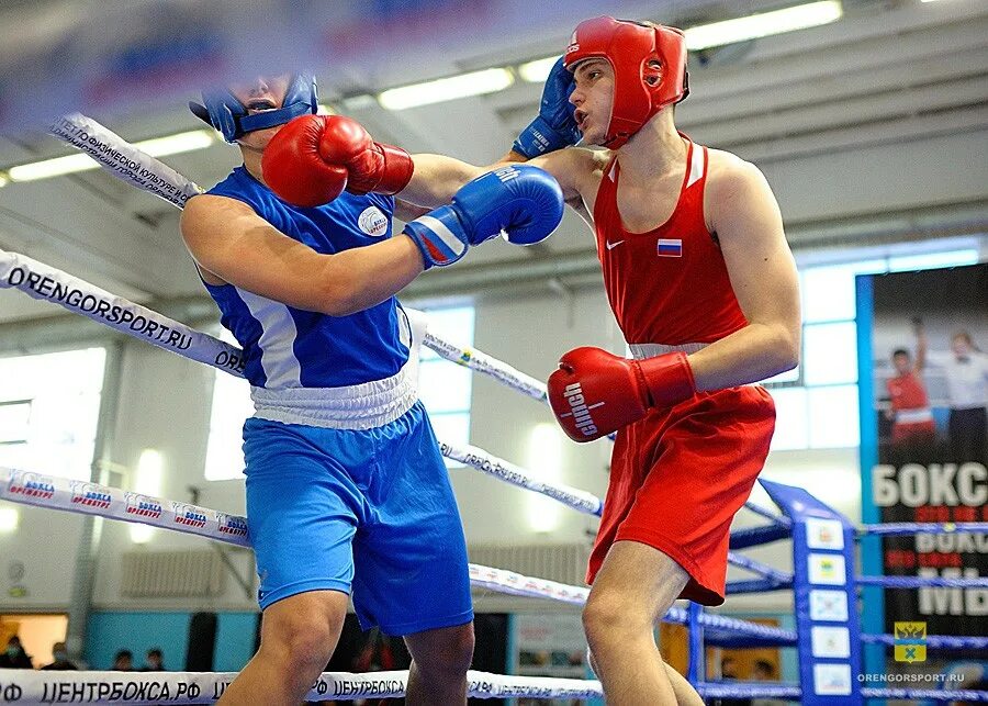 Gorebox 3. горбокс 15. горбокс 15. горбокс 15. горбокс 15.