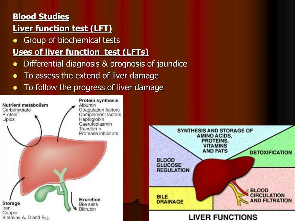 Плохая кровь печень. Liver function. Liver Blood Test. Liver function Test. Functions of Blood.