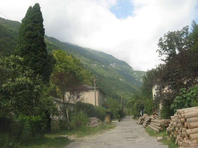 улица ущелье. чегемское ущелье тоннель. жоэкварская 1 гагра. ущелье пхия мост. свирское ущелье лазаревское.