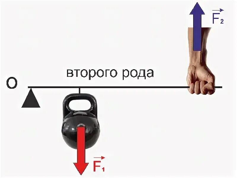 Поднятие груза на рычаге. Рычаг 1 и 2 рода физика. Простые механизмы рычаг 2 рода. Что такое рычаг 1 рода и рычаг 2 рода. Рычаг усилие механизм.