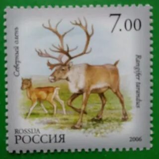 Марки 2006