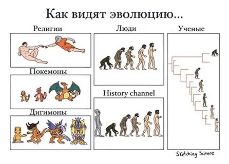 Эволюция бывший