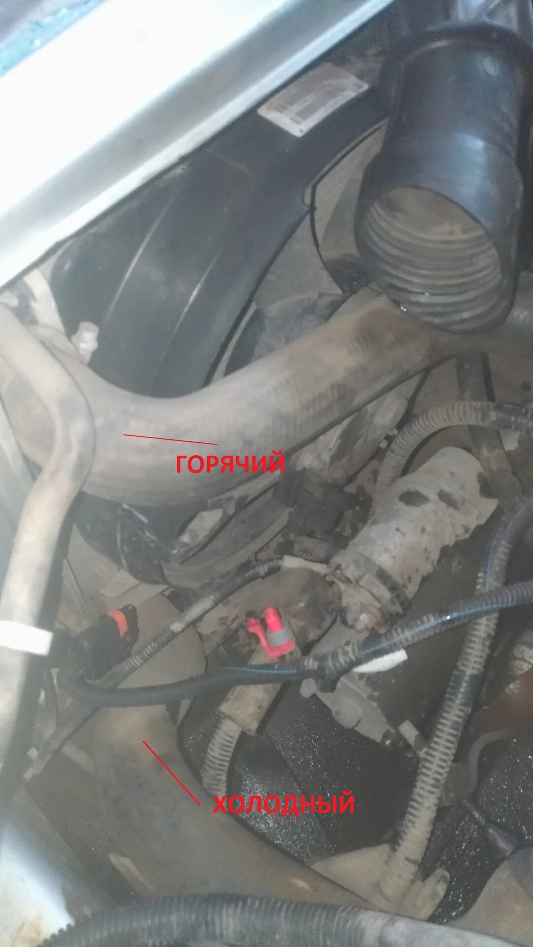 Почему холодно в калине