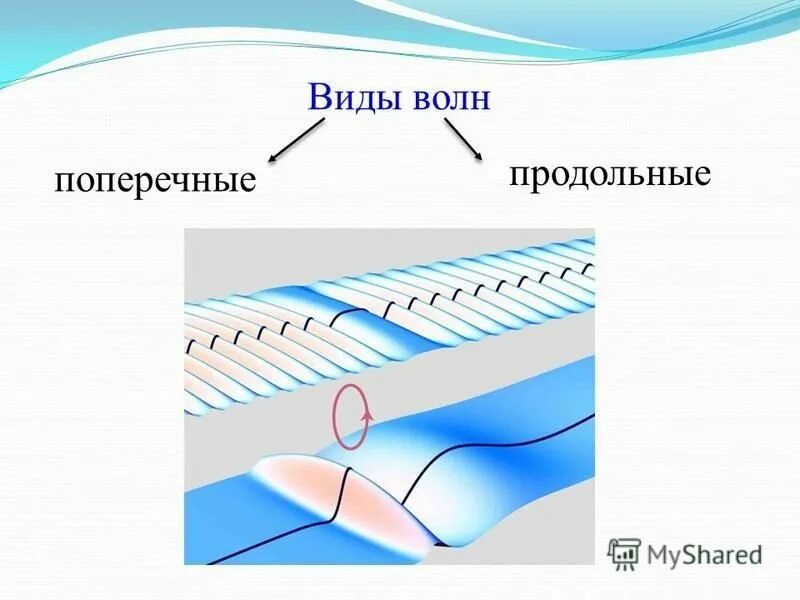 Продольные ультразвуковые волны. Поперечные механические волны. Продольные и поперечные волны. Виды волн продольные и поперечные. Продольные и поперечные механические волны.