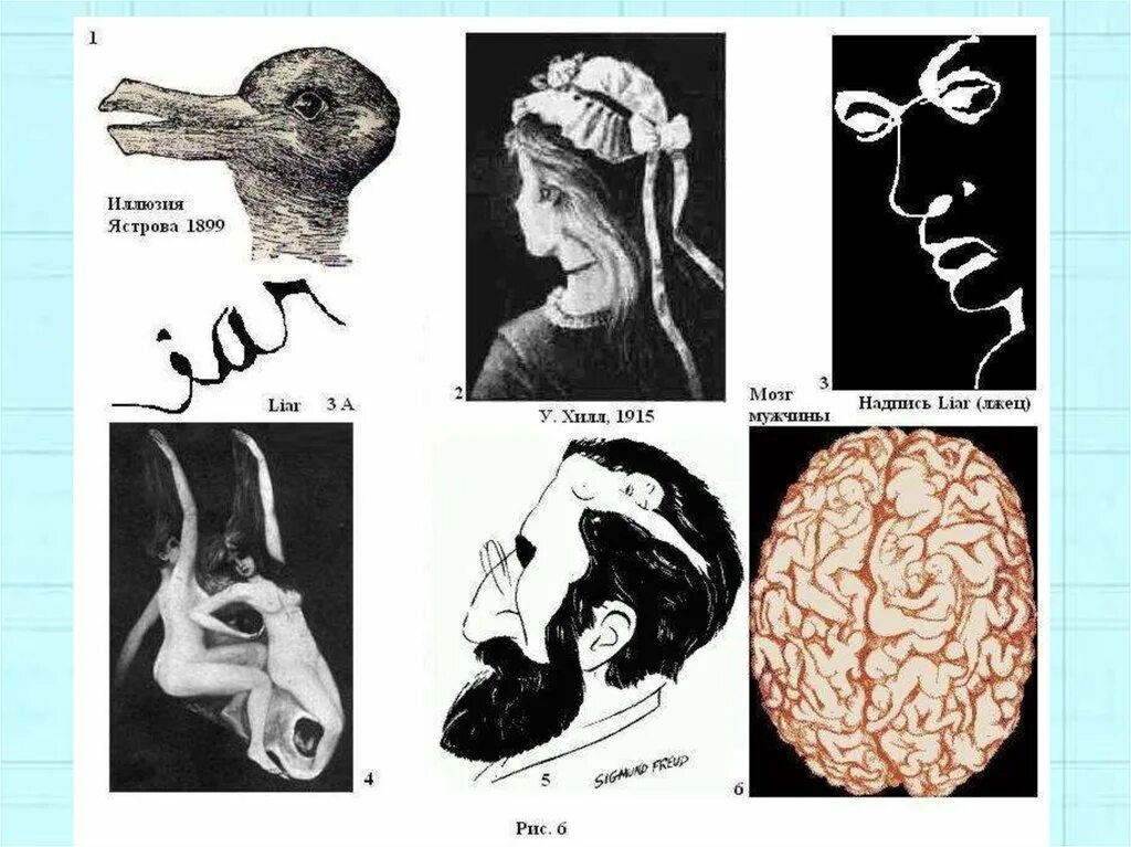 Brain 8 1. Нервная деятельность человека. Двойственные изображения примеры. Высшая нервная деятельность рисунок. Иллюзия мозга.