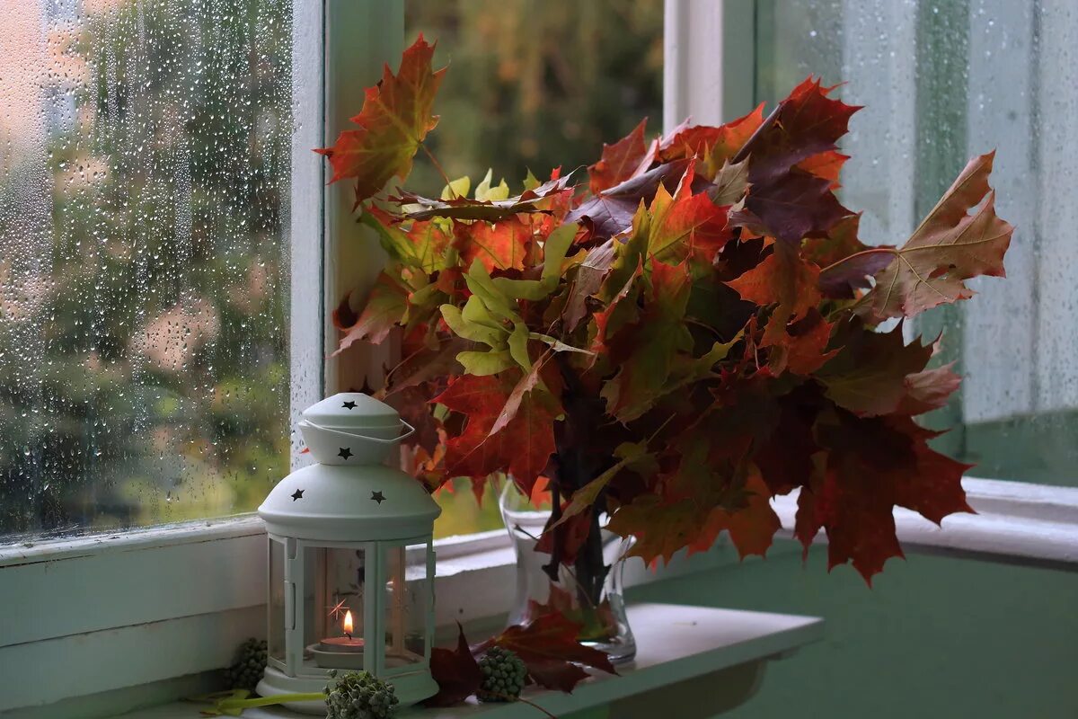 Листья на подоконнике. Осенний подоконник. Листья на окна. Кленовый лист на окне. Окно осень.